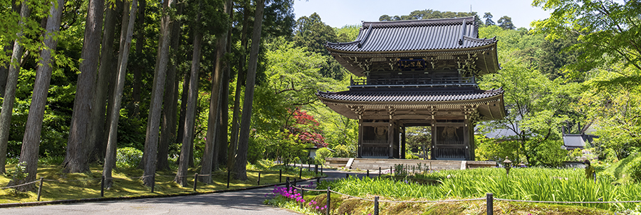 El goshuin, un recuerdo único de Japón